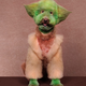 Illustration for article titled Putting on the dog